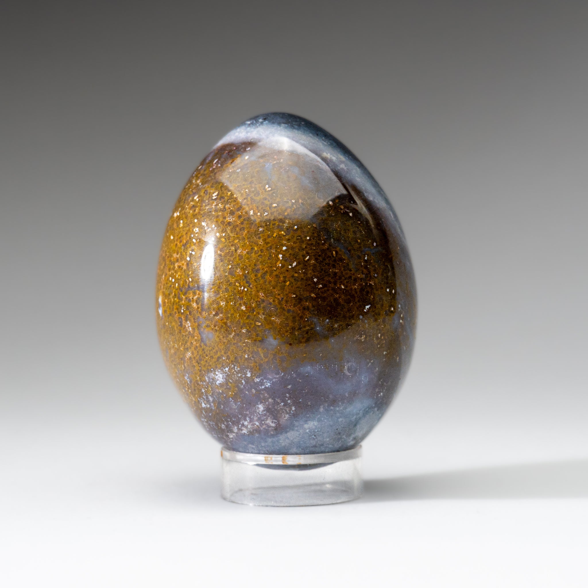Genuine Polished Ocean Jasper Egg from Madagascar (.8 lbs)