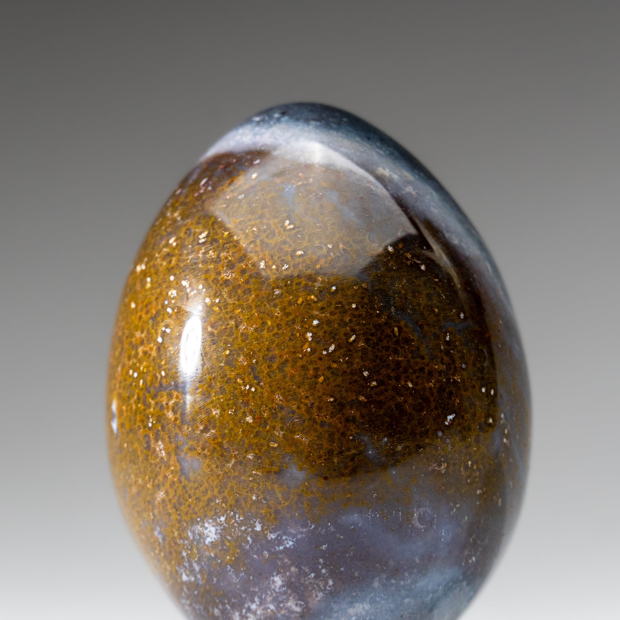Genuine Polished Ocean Jasper Egg from Madagascar (.8 lbs)