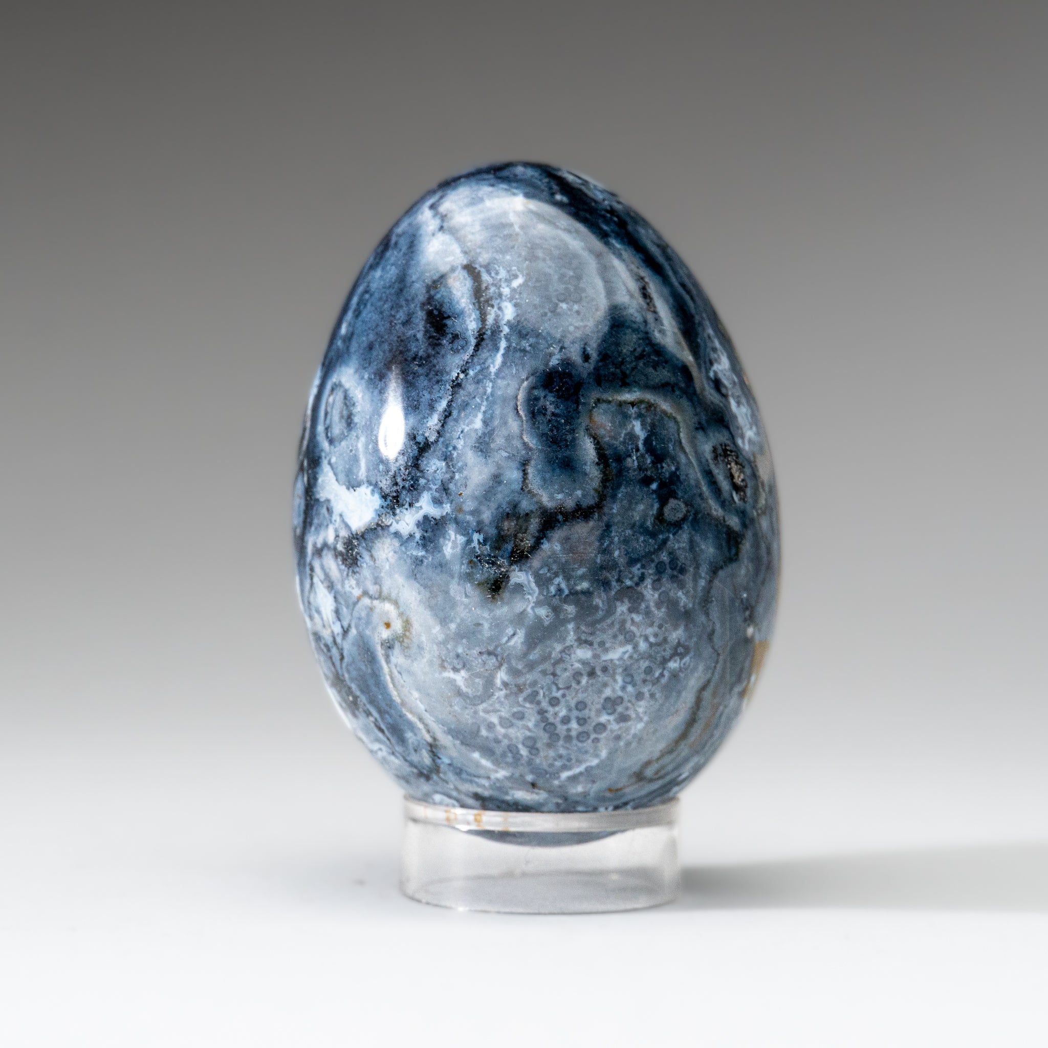 Genuine Polished Ocean Jasper Egg from Madagascar (.7 lbs)