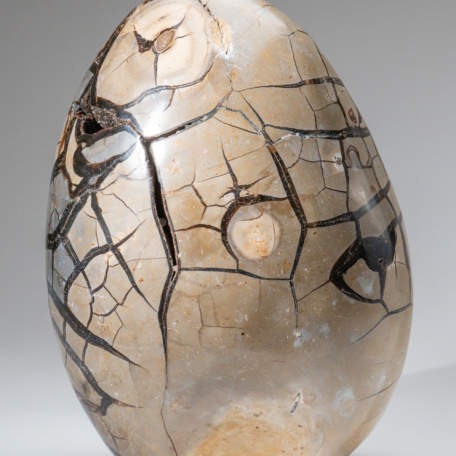 Polished Septarian Druzy Geode Egg from Madagascar (34 lbs)