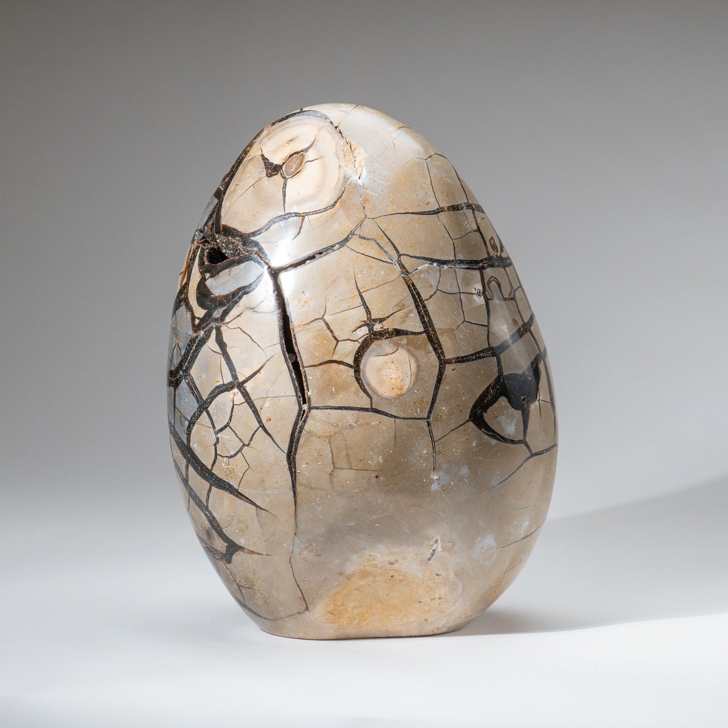 Polished Septarian Druzy Geode Egg from Madagascar (34 lbs)