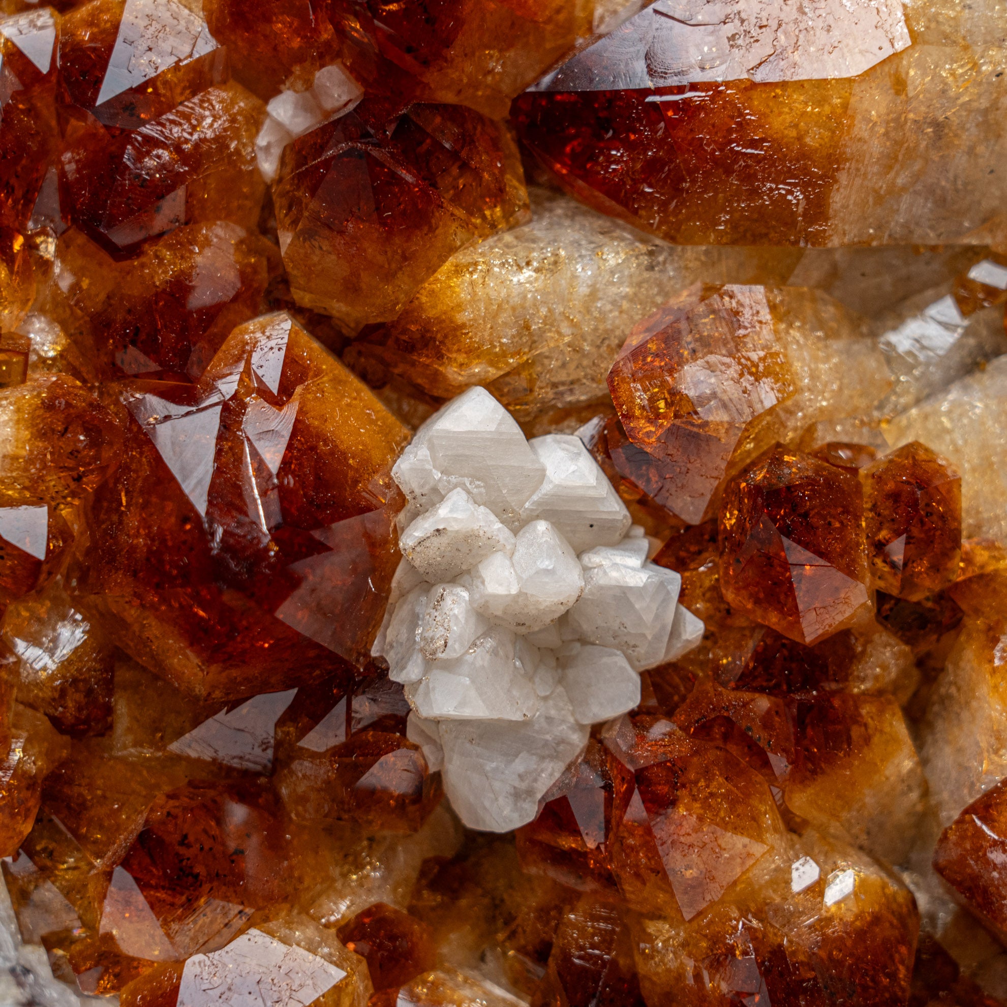 Genuine Citrine Quartz Crystal Cluster on Metal Stand (15", 18.5 lbs)