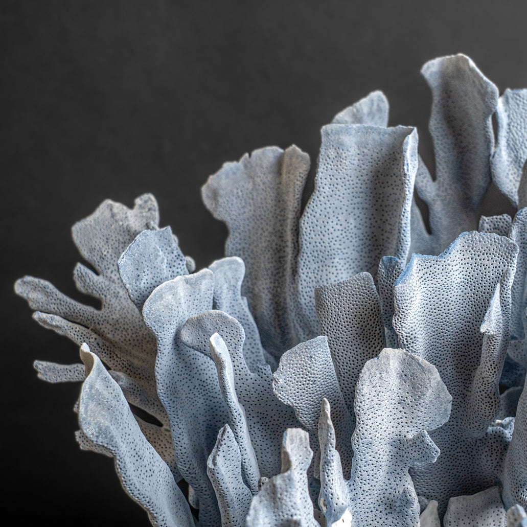 Genuine Blue Ridge Coral (18