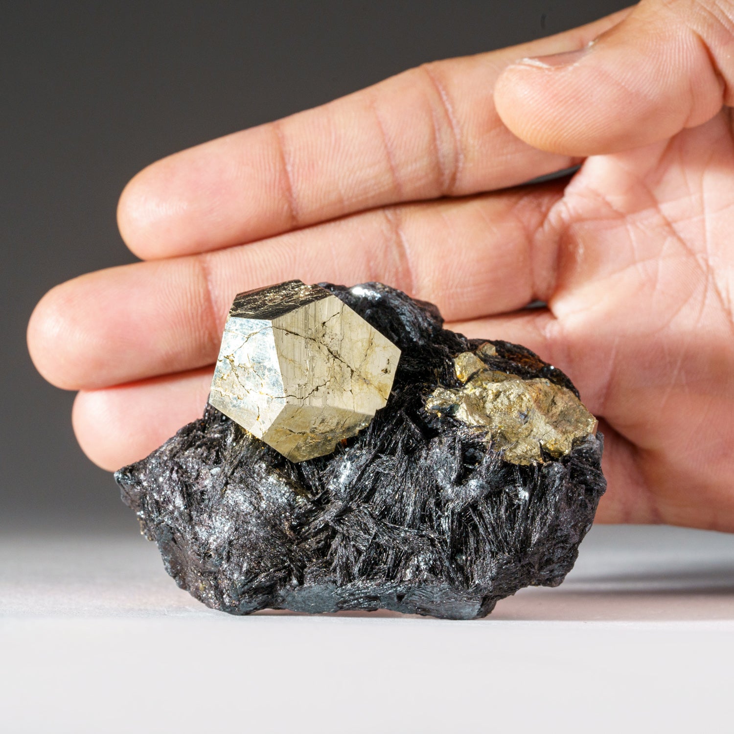 Pyrite on Hematite From Rio Marina, Elba Island, Livorno Province, Tuscany, Italy