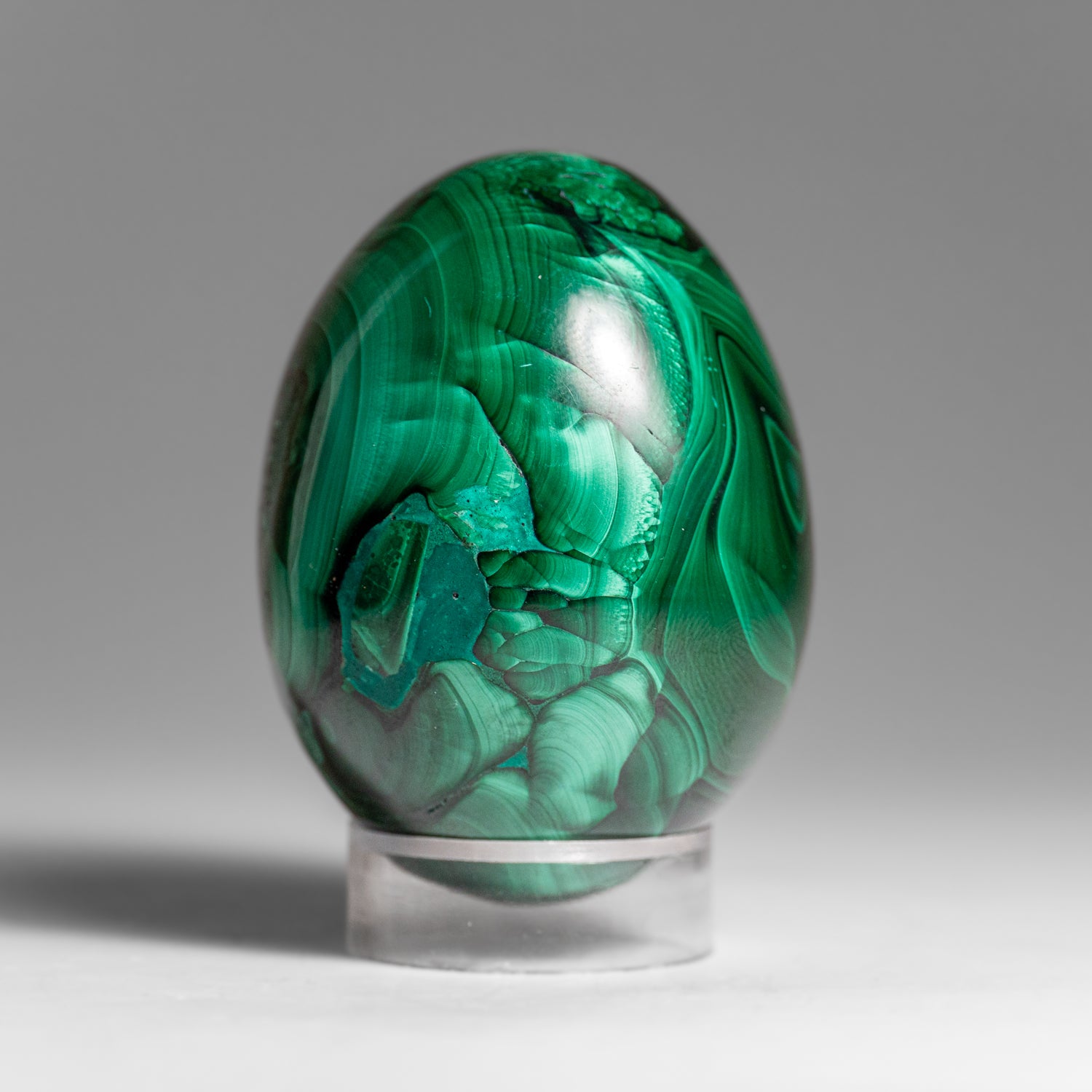 Genuine Polished Malachite Egg (303 grams)