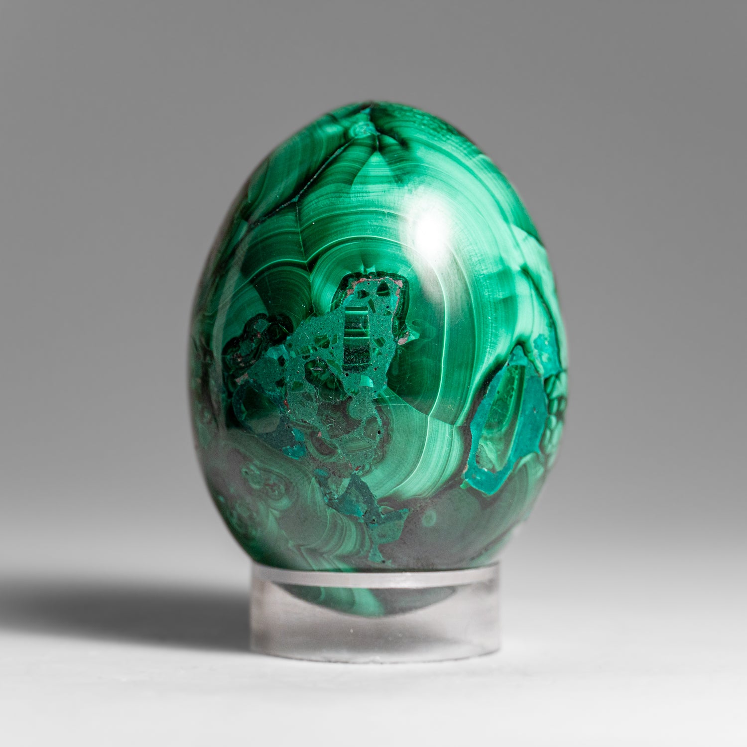 Genuine Polished Malachite Egg (303 grams)