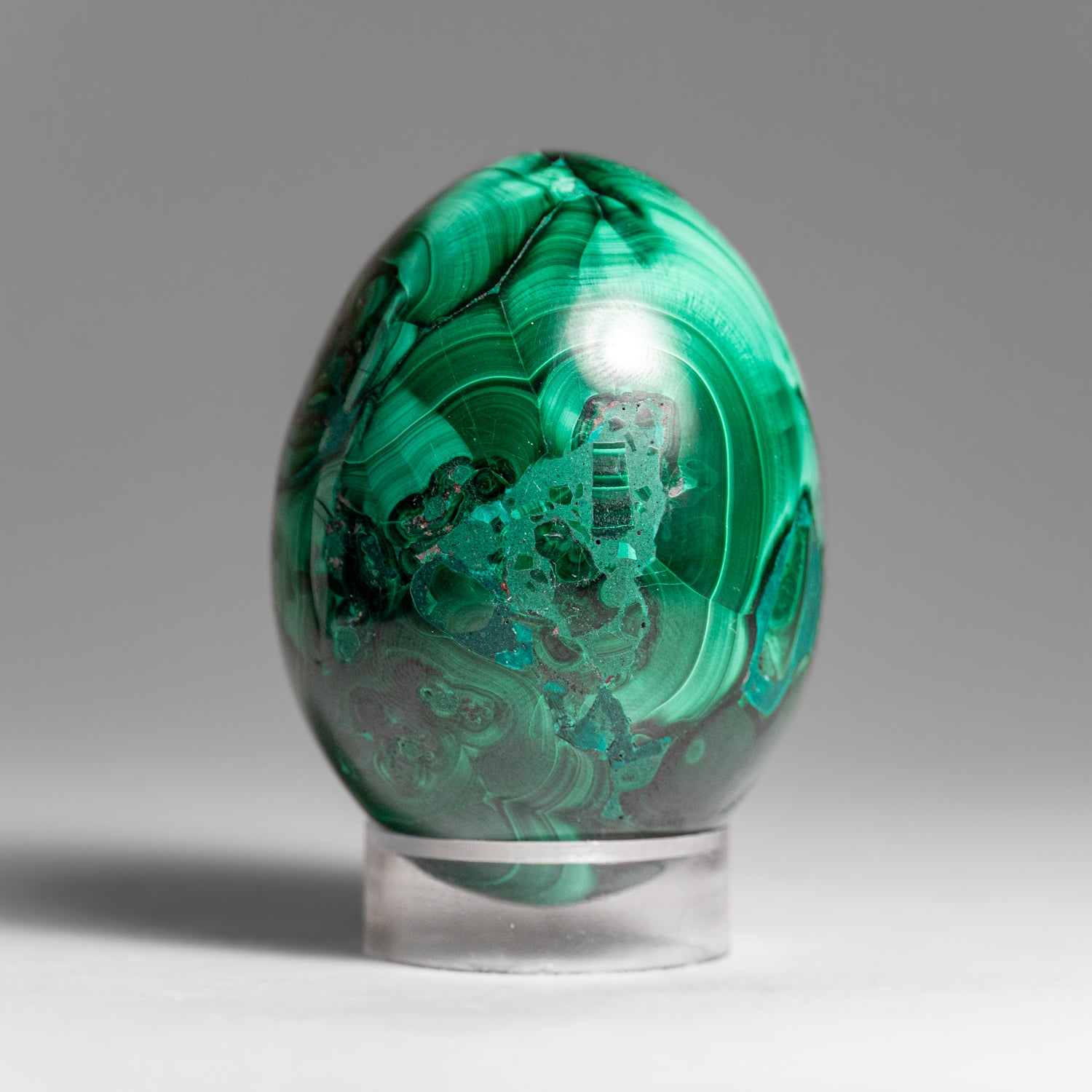 Genuine Polished Malachite Egg (303 grams)