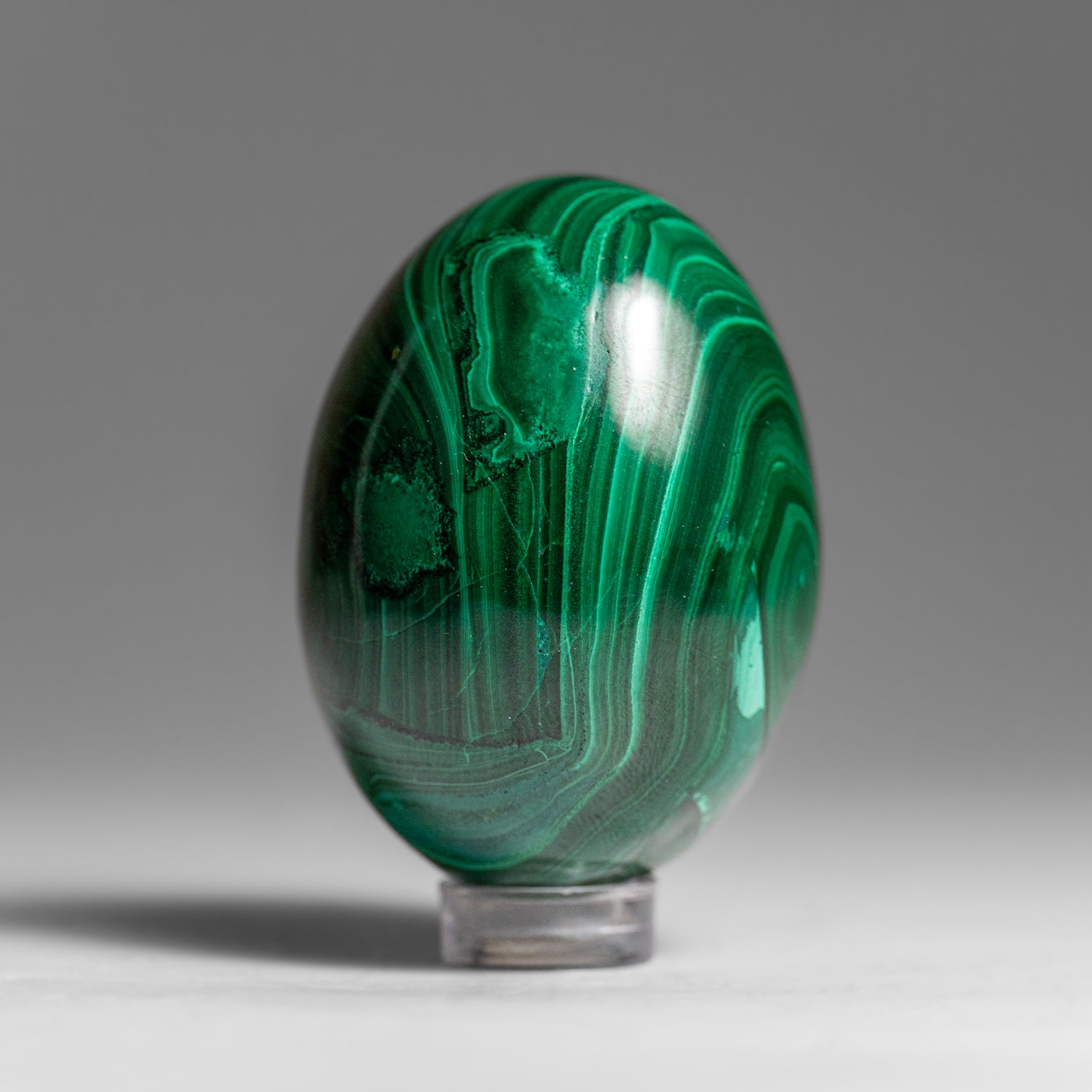 Genuine Polished Malachite Egg (160 grams)