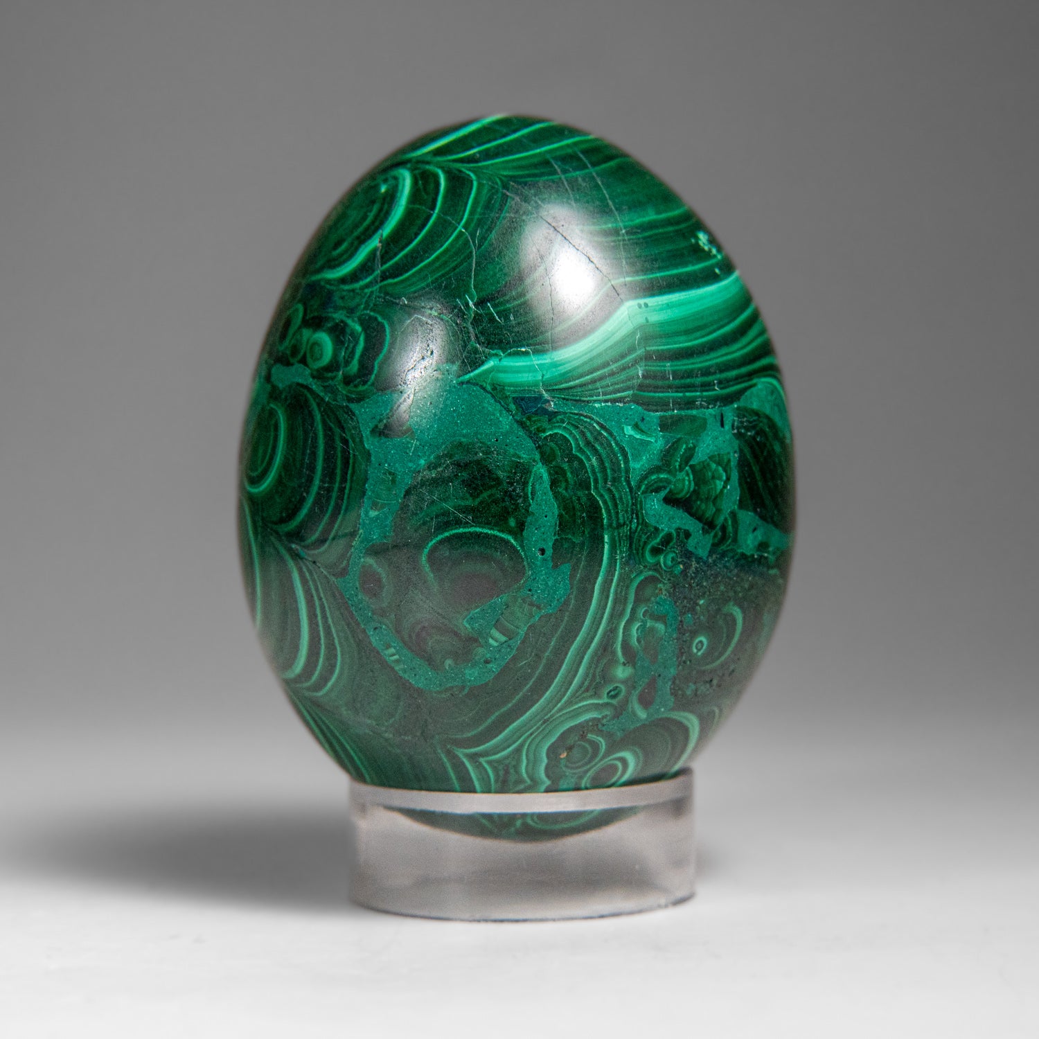 Genuine Polished Malachite Egg (334.9 grams)