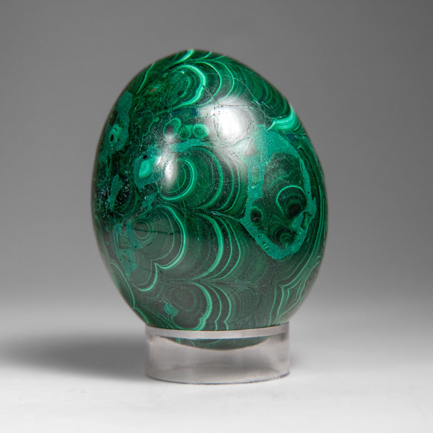 Genuine Polished Malachite Egg (334.9 grams)