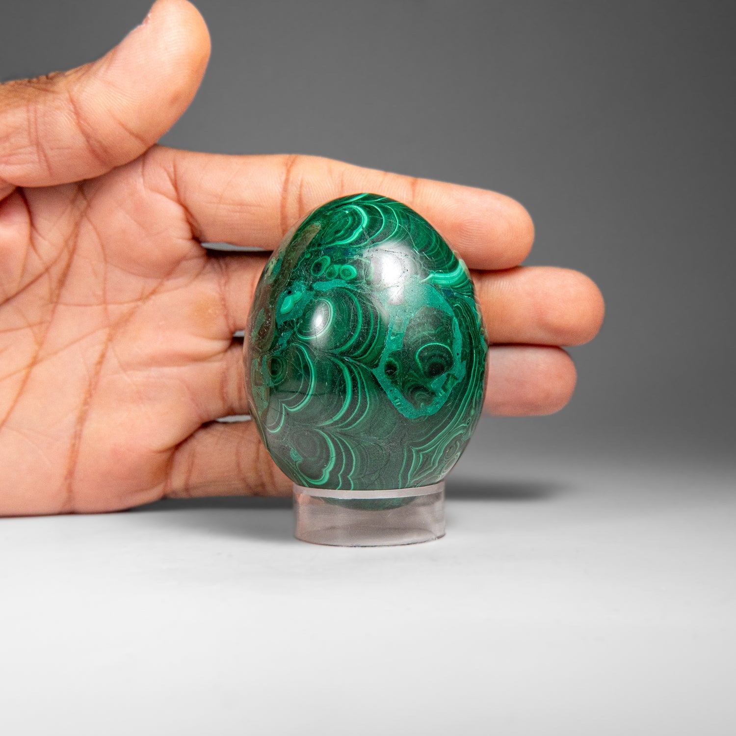 Genuine Polished Malachite Egg (334.9 grams)