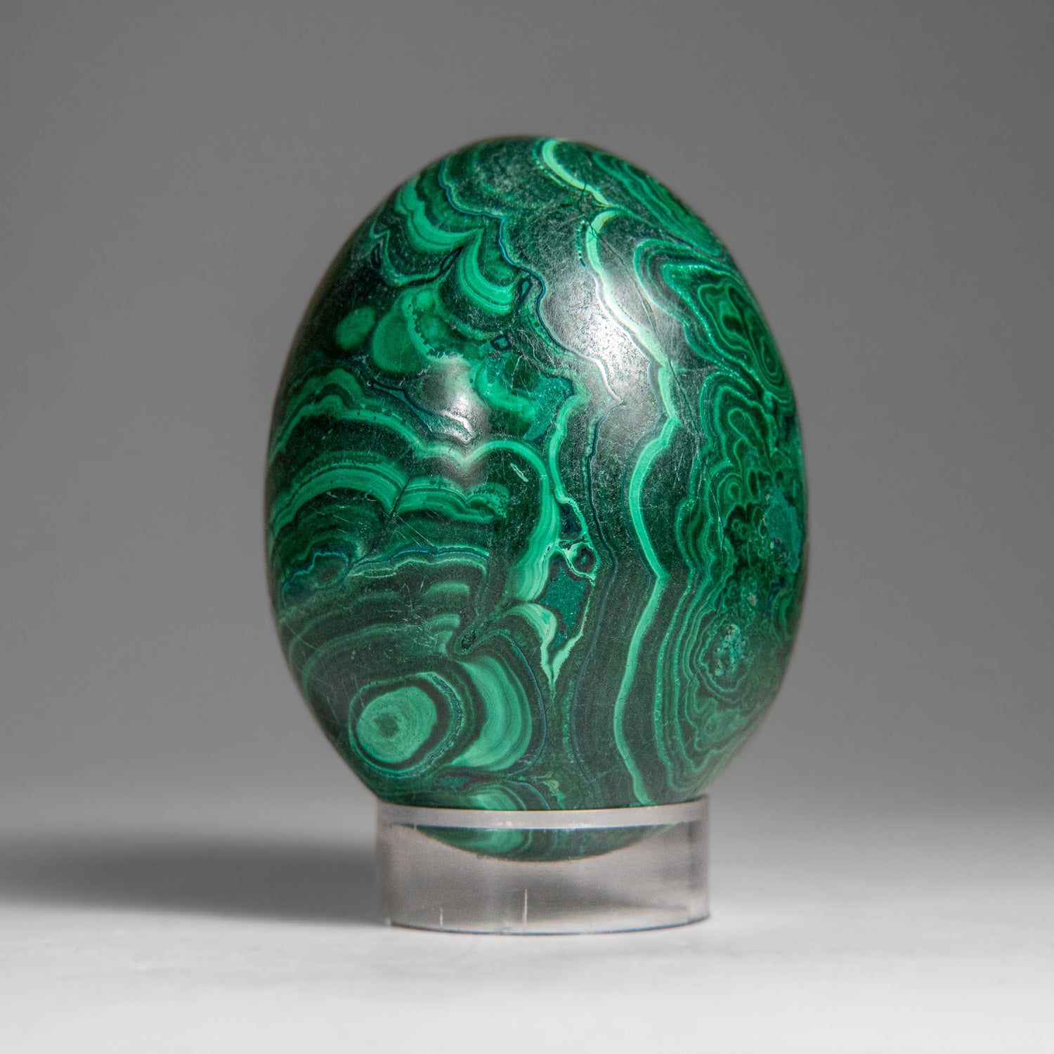 Genuine Polished Malachite Egg (363.2 grams)