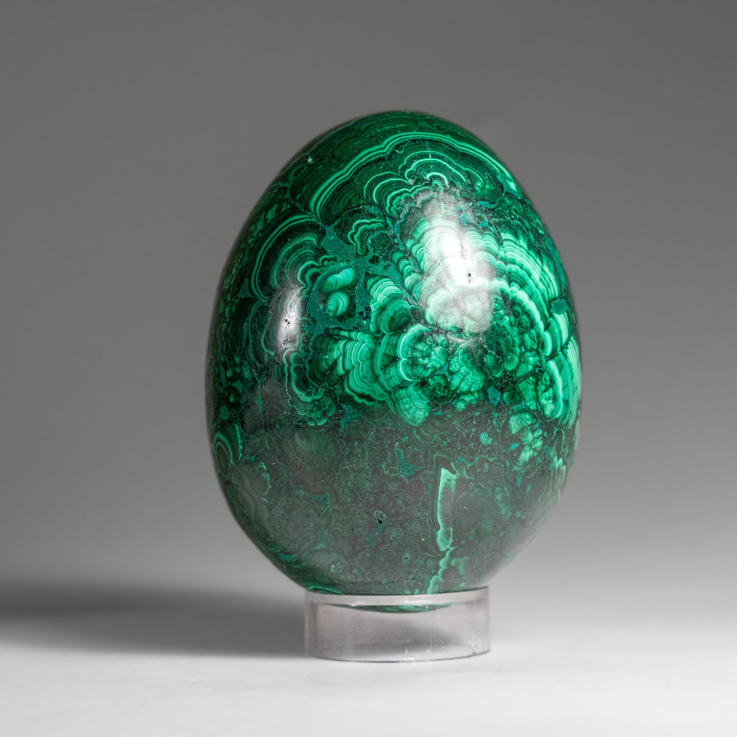Genuine Polished Malachite Egg (1.5 lbs)