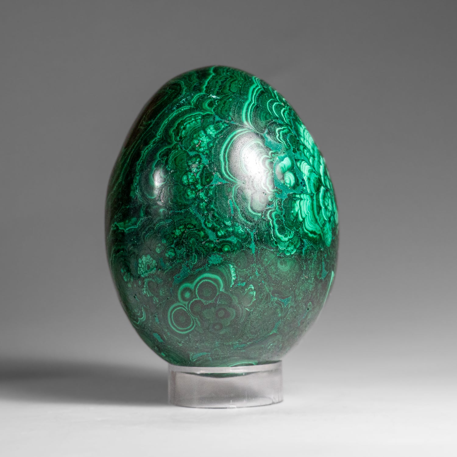 Genuine Polished Malachite Egg (1.5 lbs)
