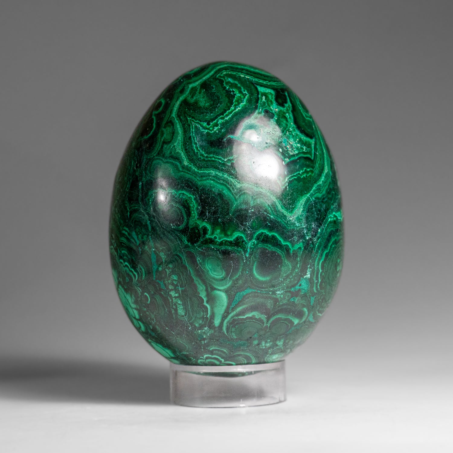 Genuine Polished Malachite Egg (1.5 lbs)