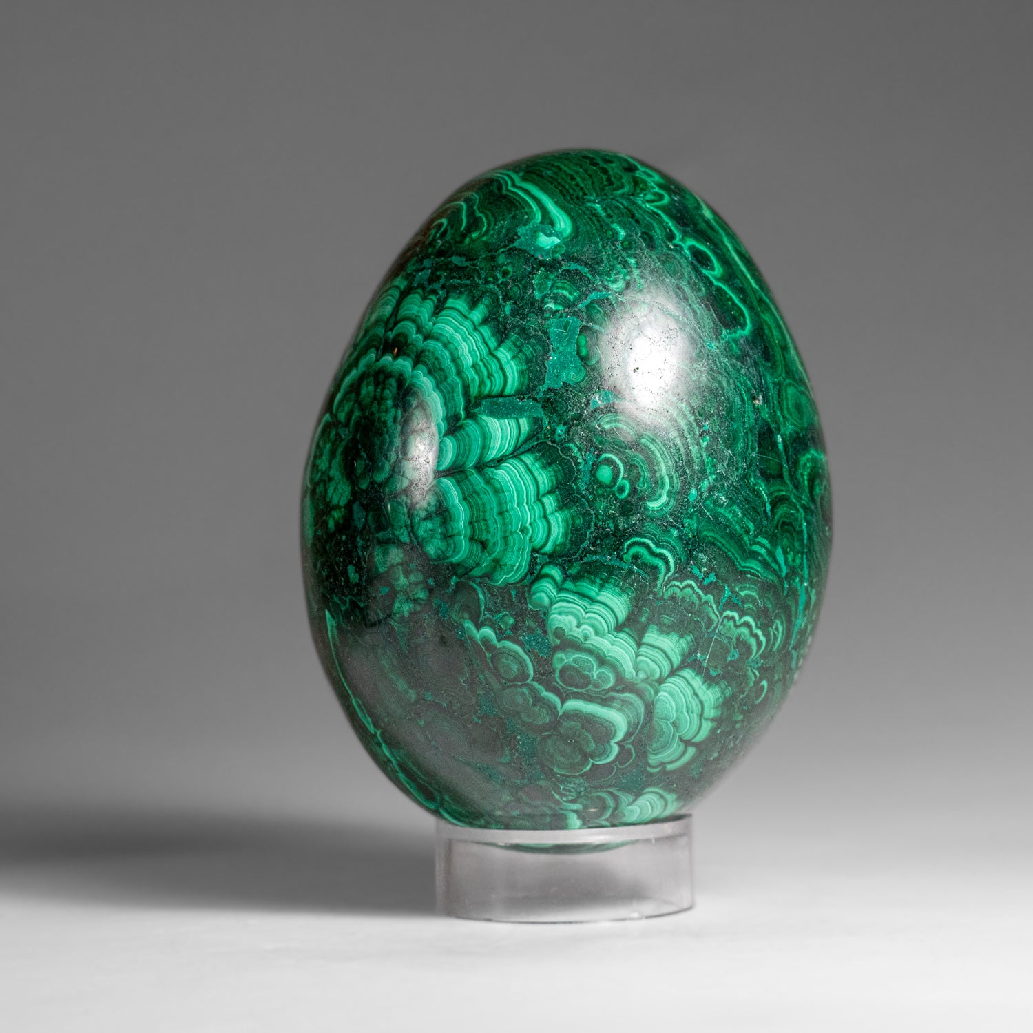 Genuine Polished Malachite Egg (1.5 lbs)