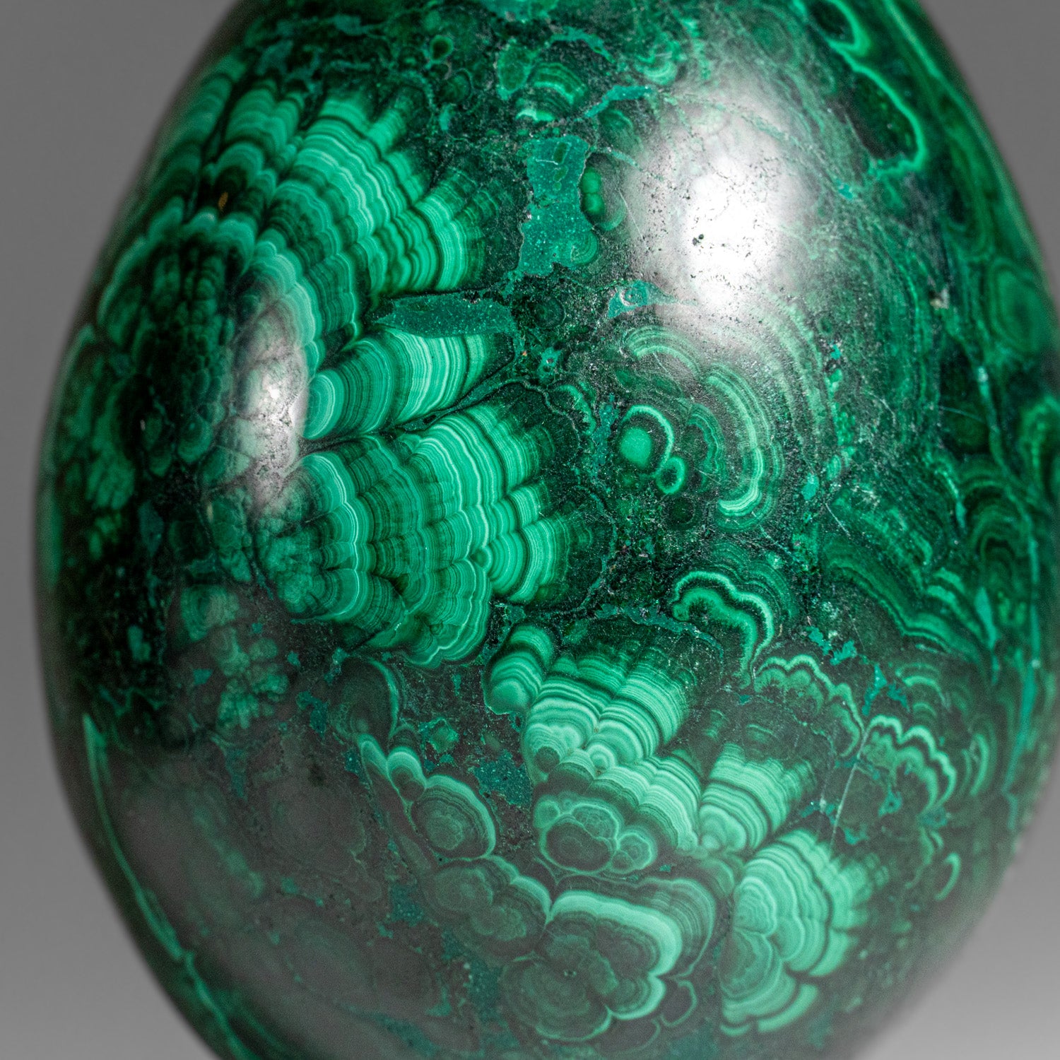 Genuine Polished Malachite Egg (1.5 lbs)