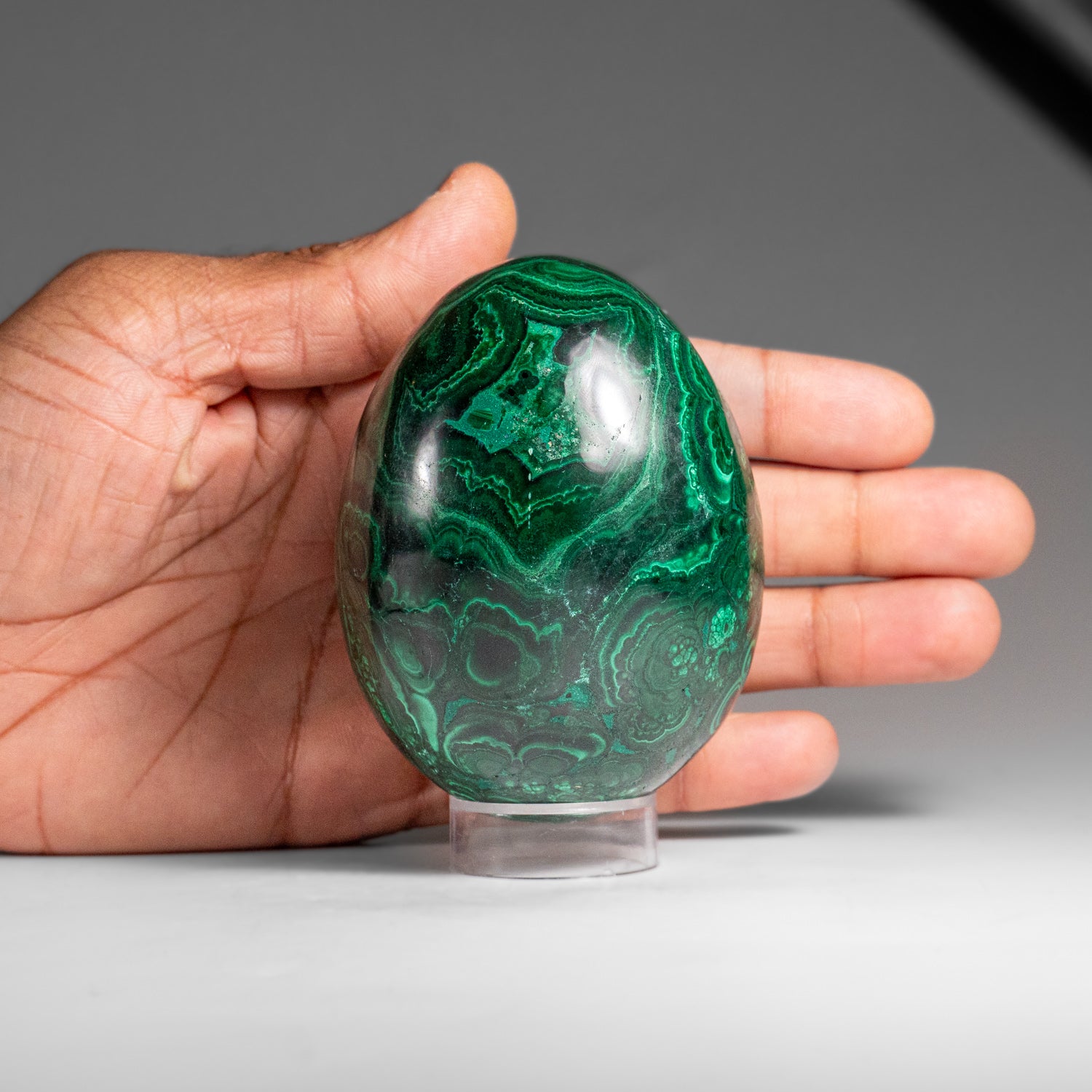 Genuine Polished Malachite Egg (1.5 lbs)