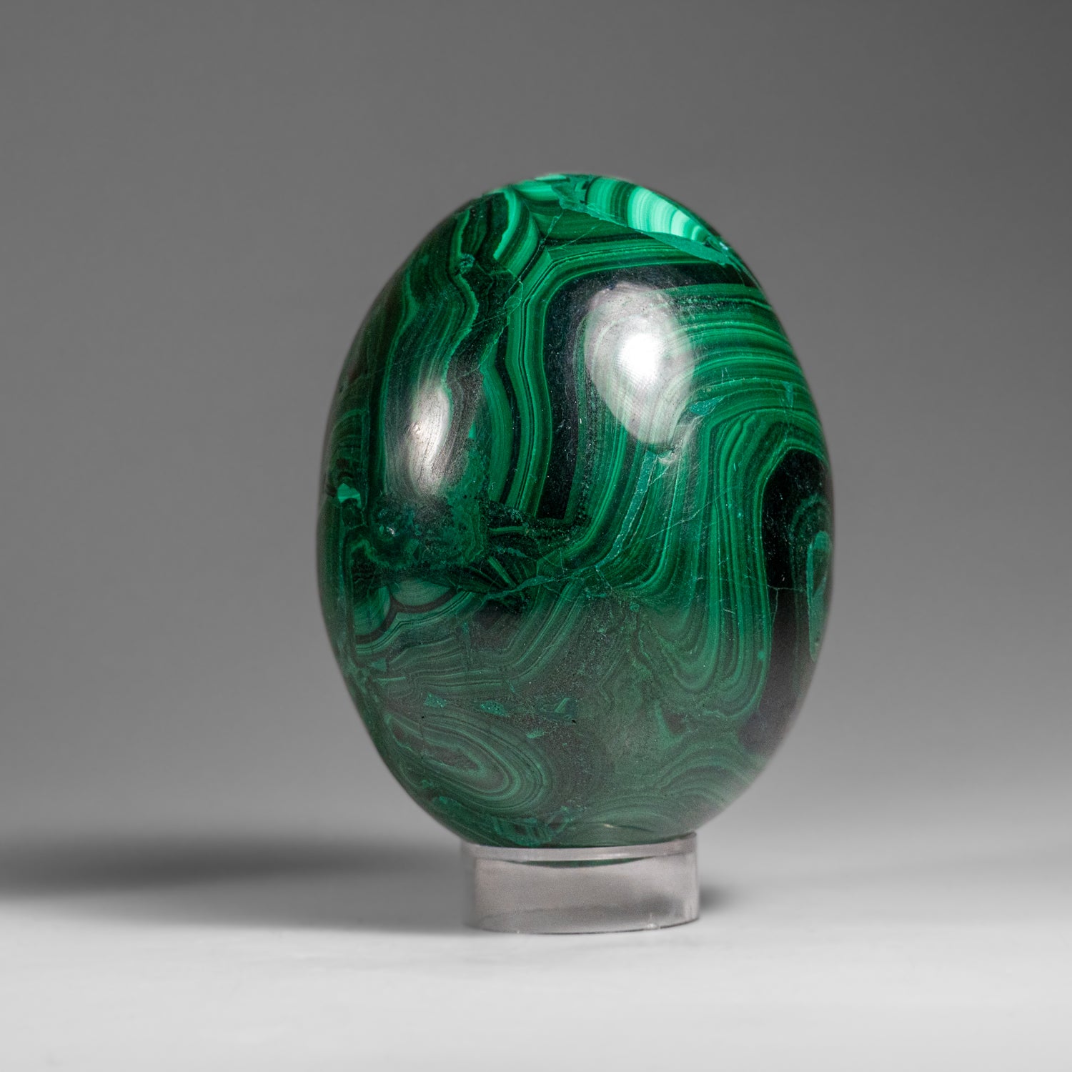 Genuine Polished Malachite Egg (1.9 lbs)