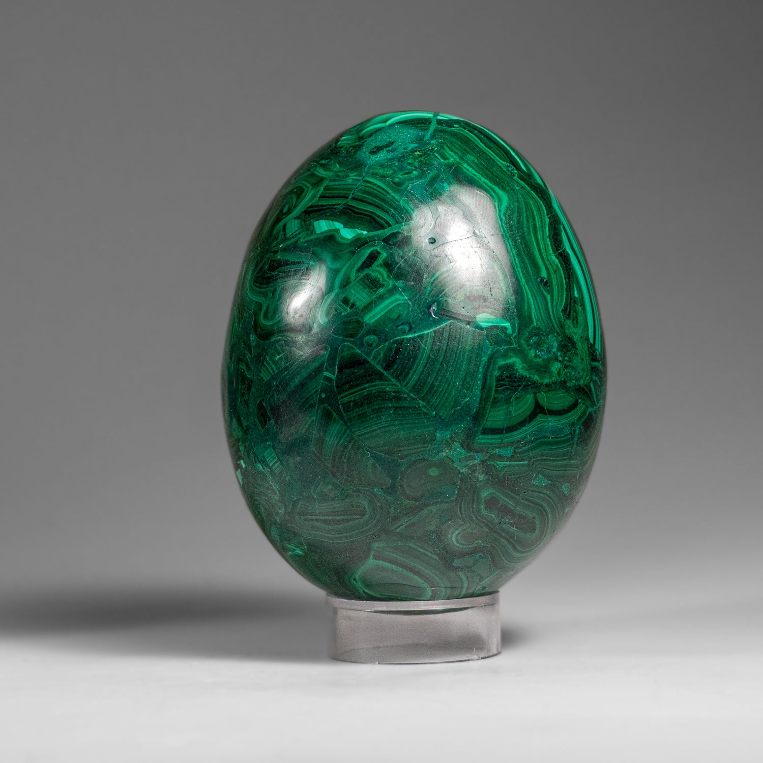 Genuine Polished Malachite Egg (1.9 lbs)