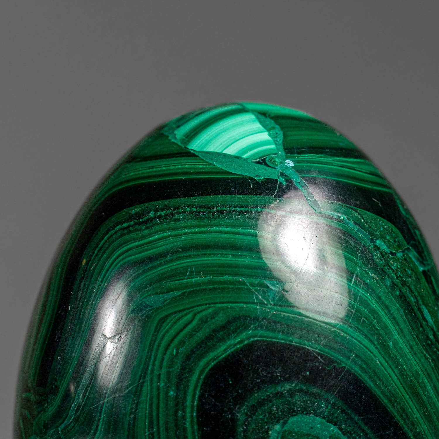 Genuine Polished Malachite Egg (1.9 lbs)