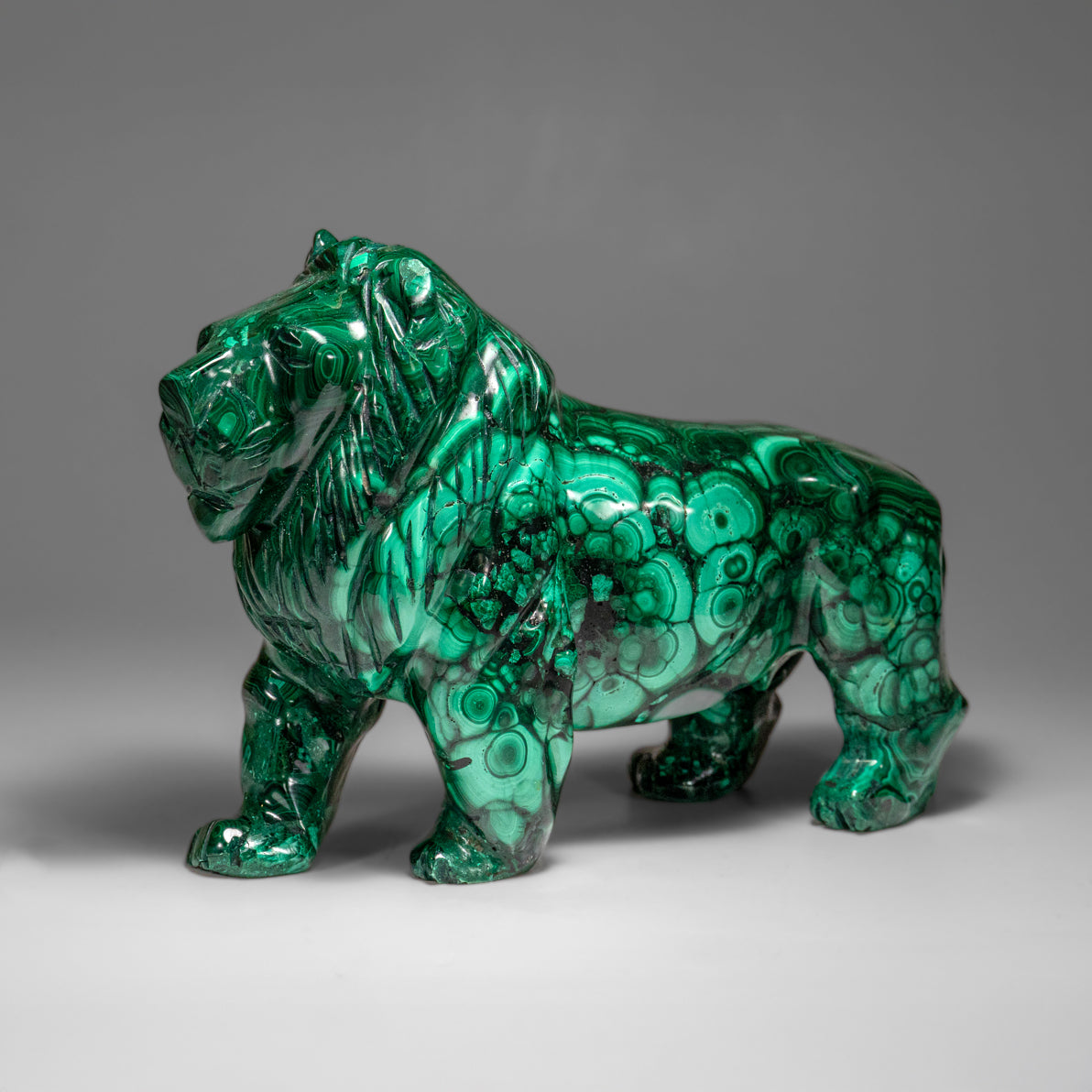 Genuine Polished Malachite Lion Carving (5.2 lbs)