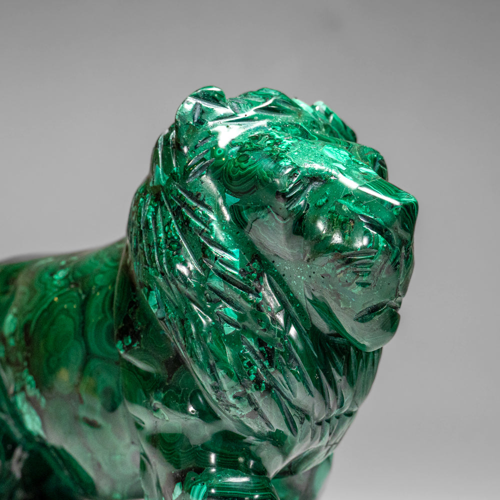 Genuine Polished Malachite Lion Carving (5.2 lbs)