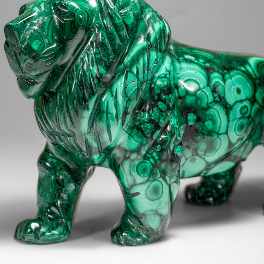Genuine Polished Malachite Lion Carving (5.2 lbs)