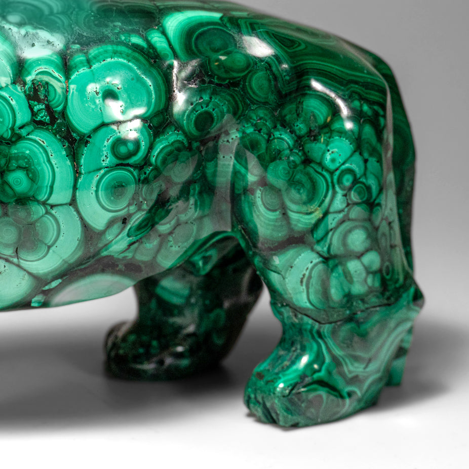 Genuine Polished Malachite Lion Carving (5.2 lbs)