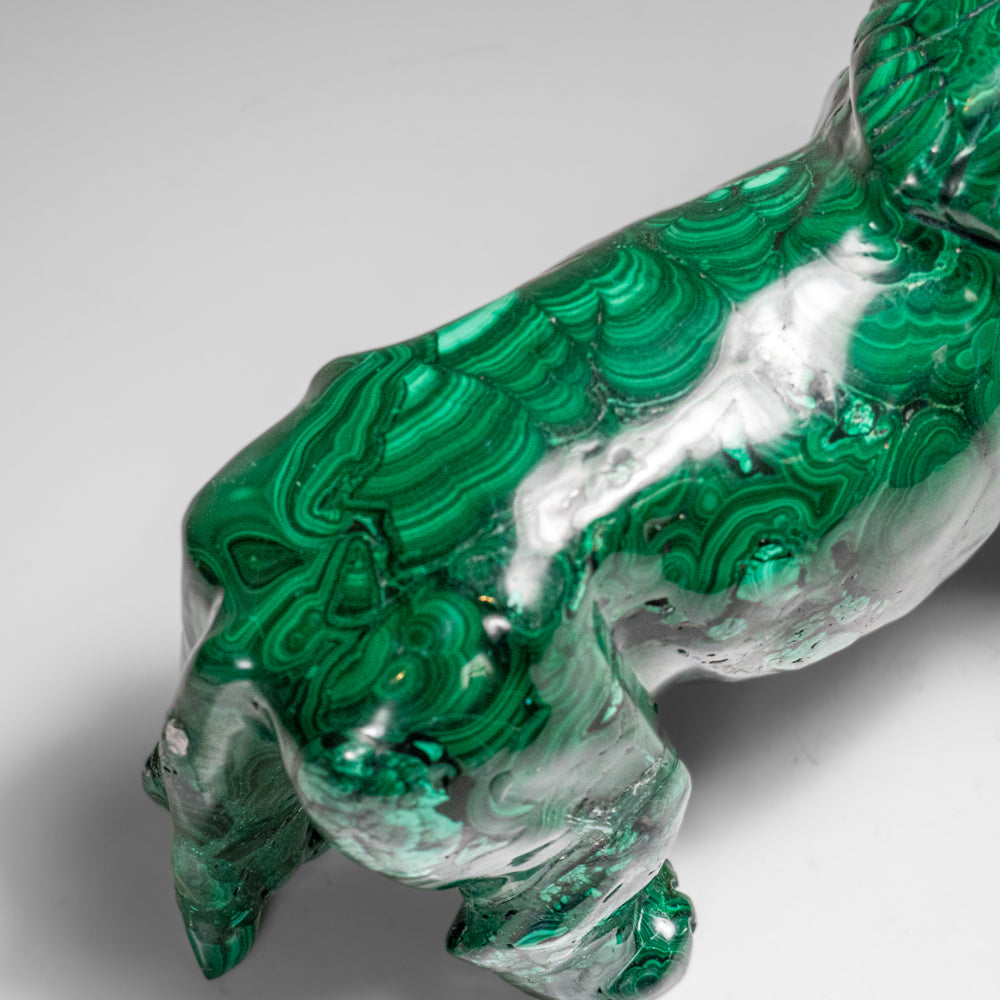 Genuine Polished Malachite Lion Carving (5.2 lbs)