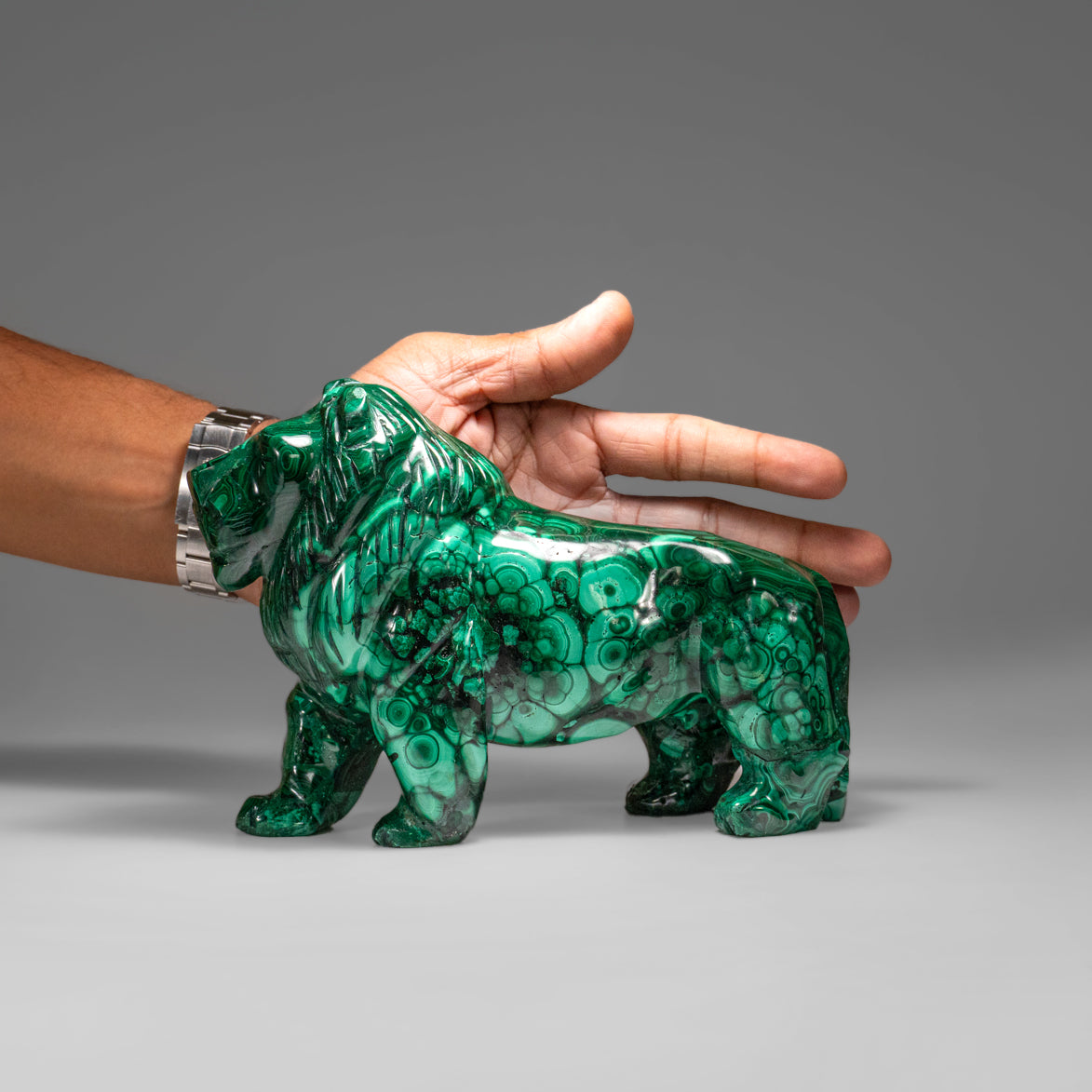 Genuine Polished Malachite Lion Carving (5.2 lbs)