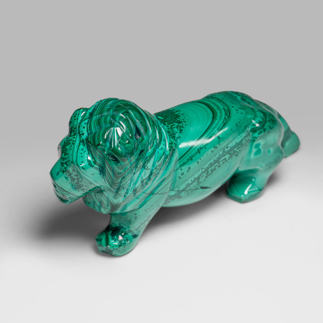 Genuine Polished Malachite Lion Carving (1.3 lbs)