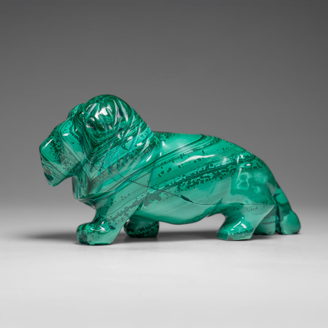 Genuine Polished Malachite Lion Carving (1.3 lbs)