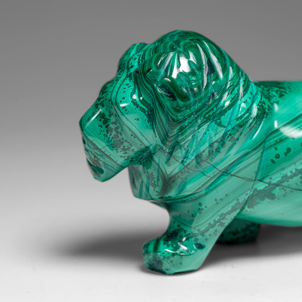 Genuine Polished Malachite Lion Carving (1.3 lbs)