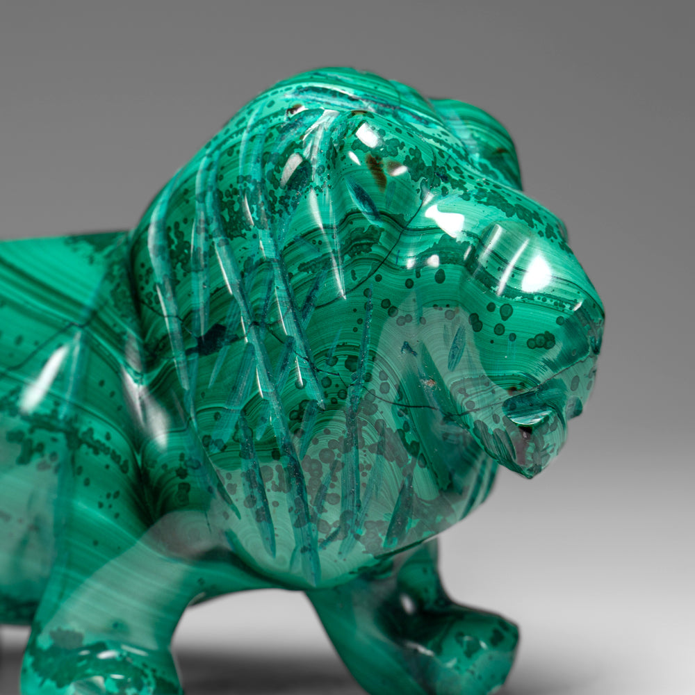 Genuine Polished Malachite Lion Carving (1.3 lbs)