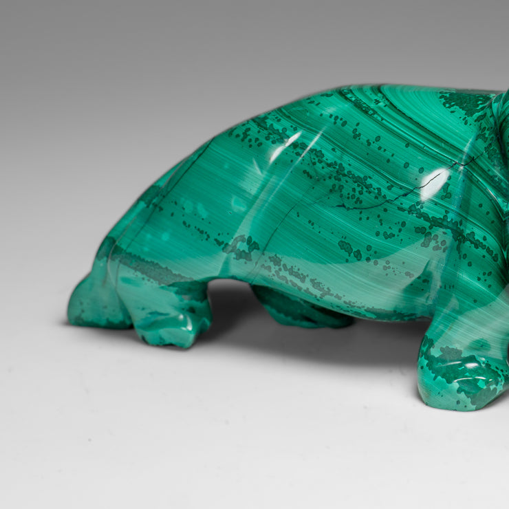 Genuine Polished Malachite Lion Carving (1.3 lbs)