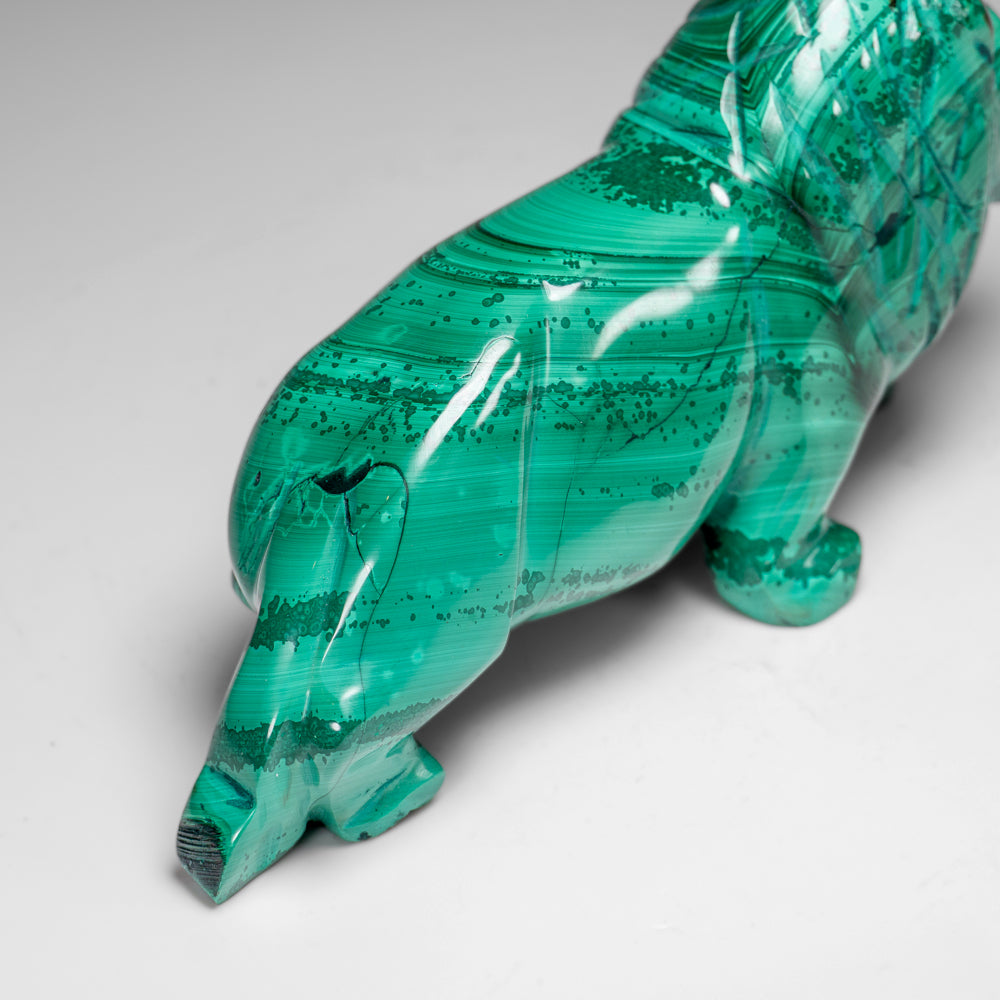 Genuine Polished Malachite Lion Carving (1.3 lbs)