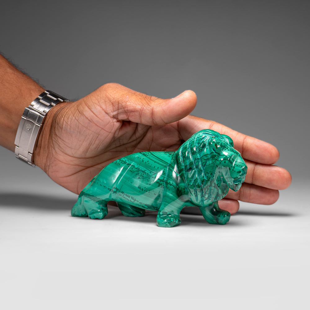 Genuine Polished Malachite Lion Carving (1.3 lbs)