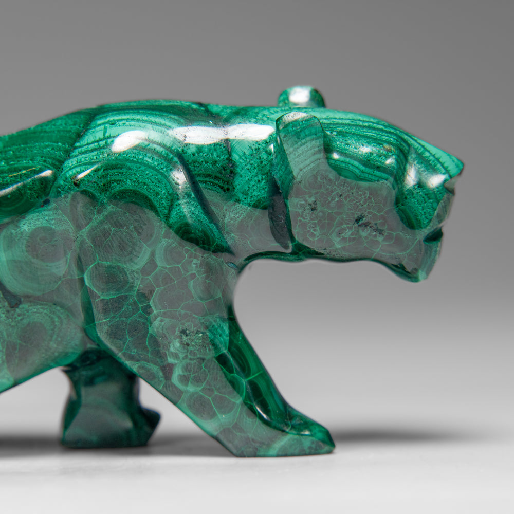 Genuine Polished Malachite Panther Carving (195.2 grams)
