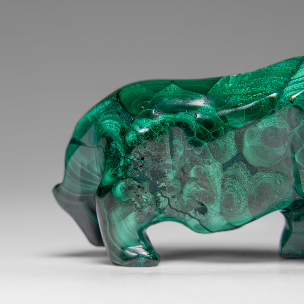 Genuine Polished Malachite Panther Carving (195.2 grams)