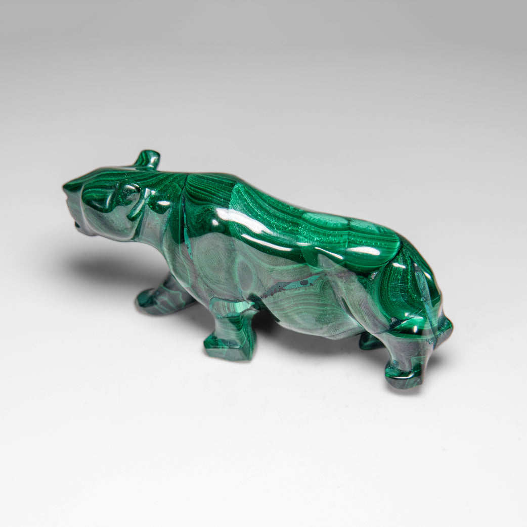 Genuine Polished Malachite Panther Carving (195.2 grams)