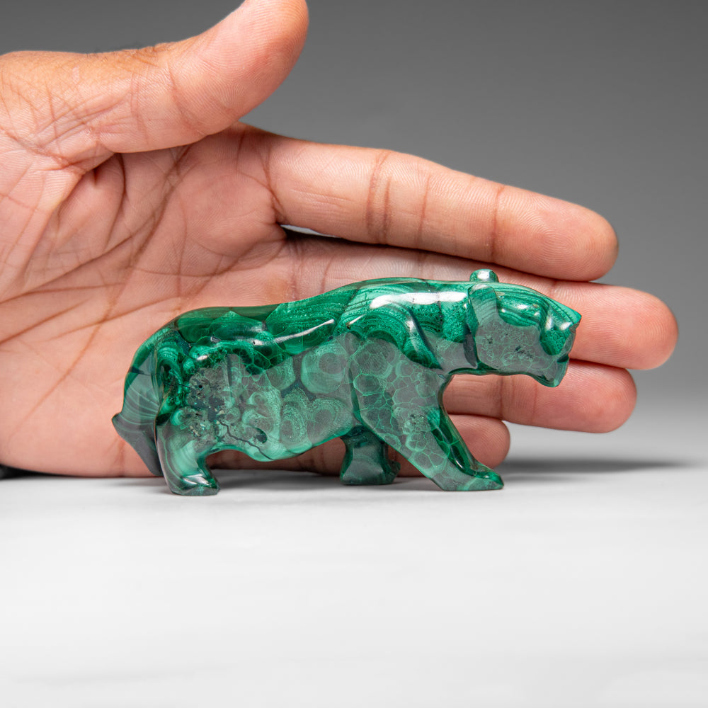 Genuine Polished Malachite Panther Carving (195.2 grams)