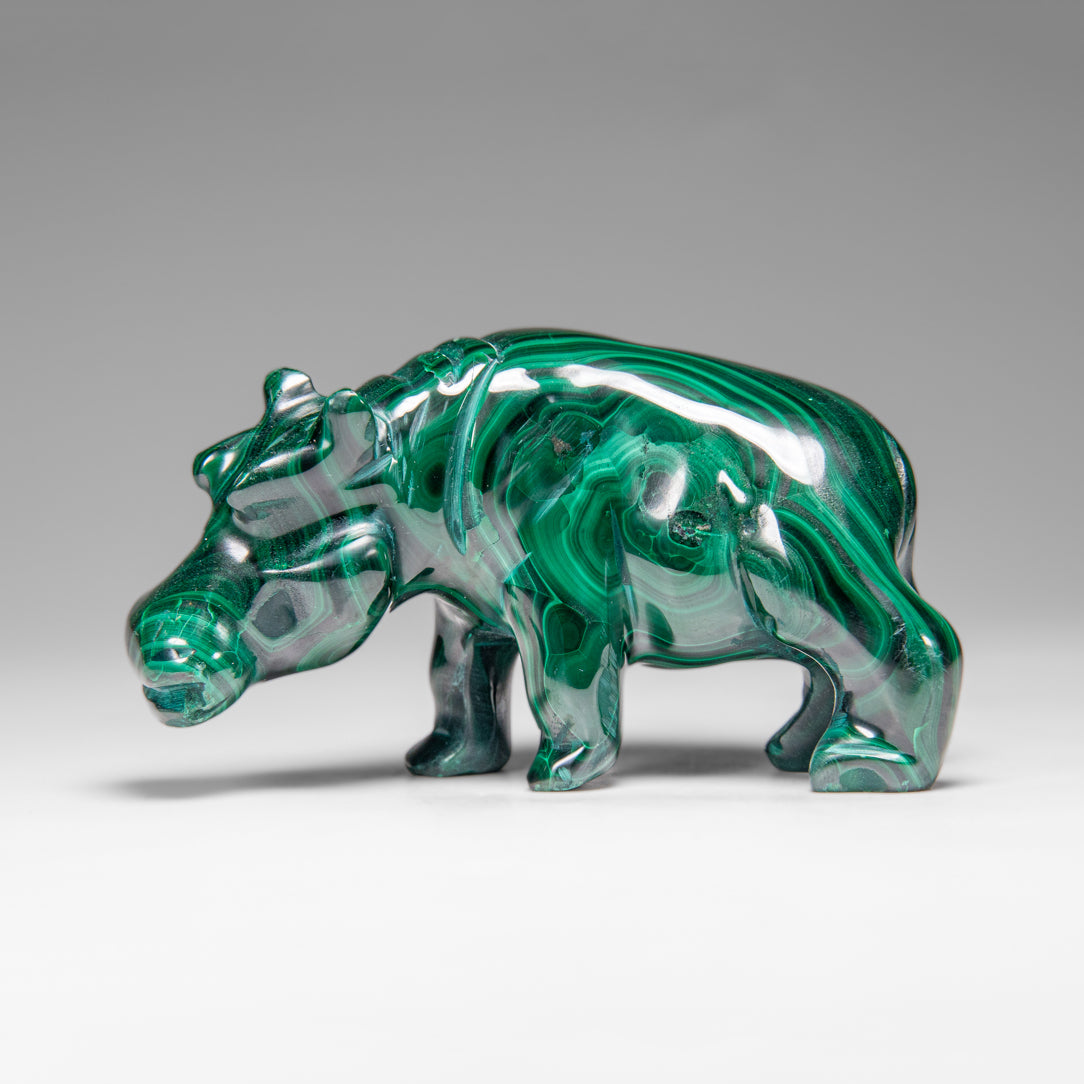 Genuine Polished Malachite Hippo Carving (303.5 grams)