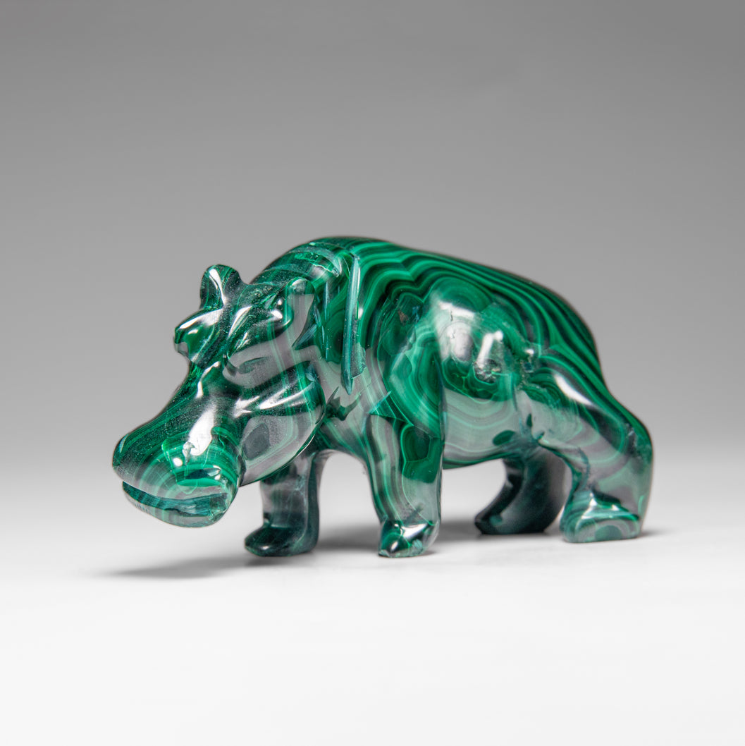Genuine Polished Malachite Hippo Carving (303.5 grams)