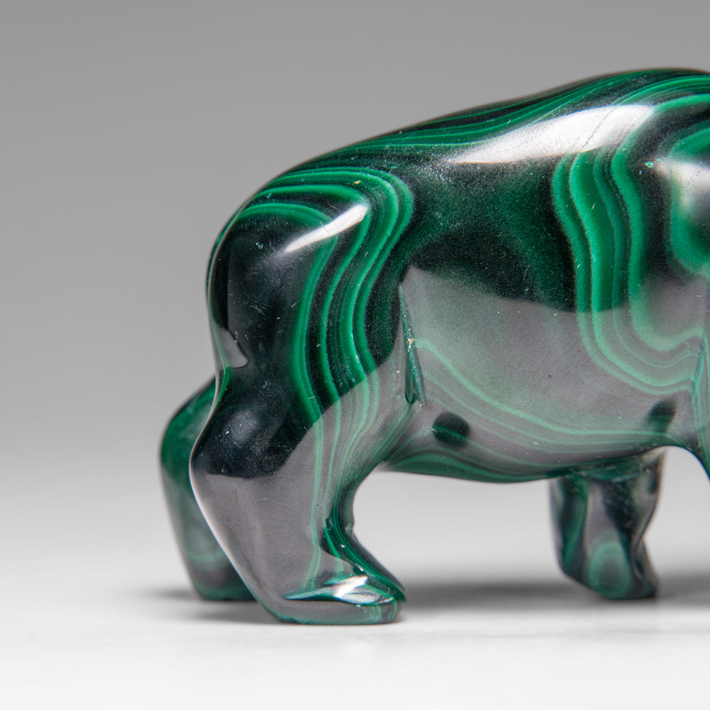 Genuine Polished Malachite Hippo Carving (303.5 grams)
