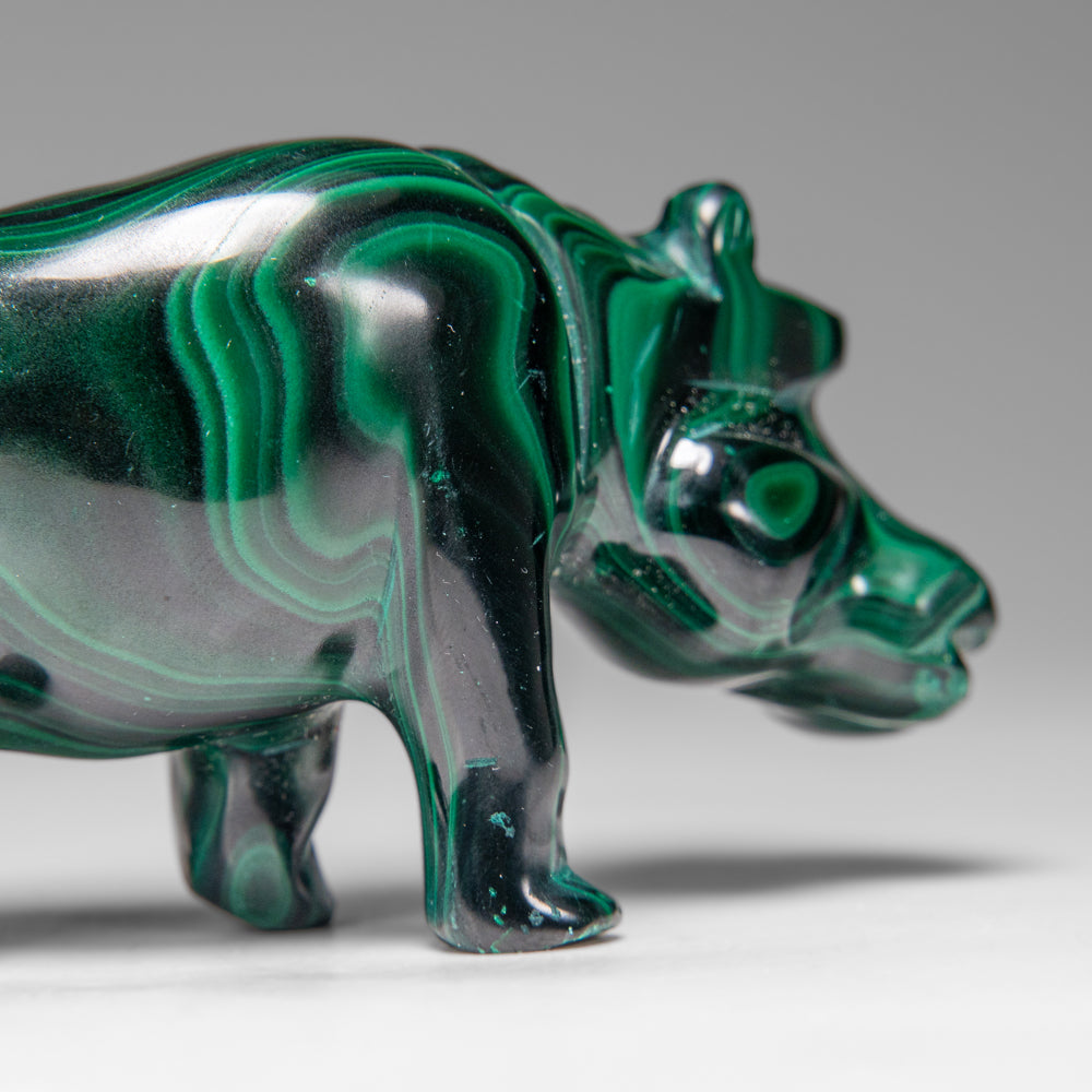 Genuine Polished Malachite Hippo Carving (303.5 grams)
