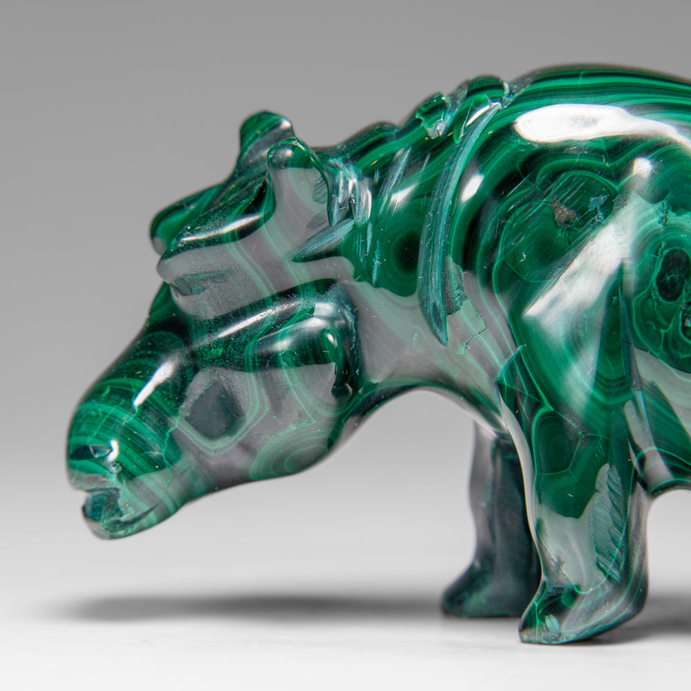 Genuine Polished Malachite Hippo Carving (303.5 grams)