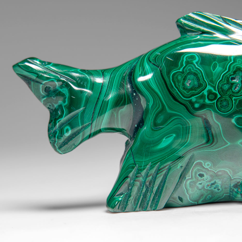 Genuine Polished Malachite Fish Carving (280 grams)