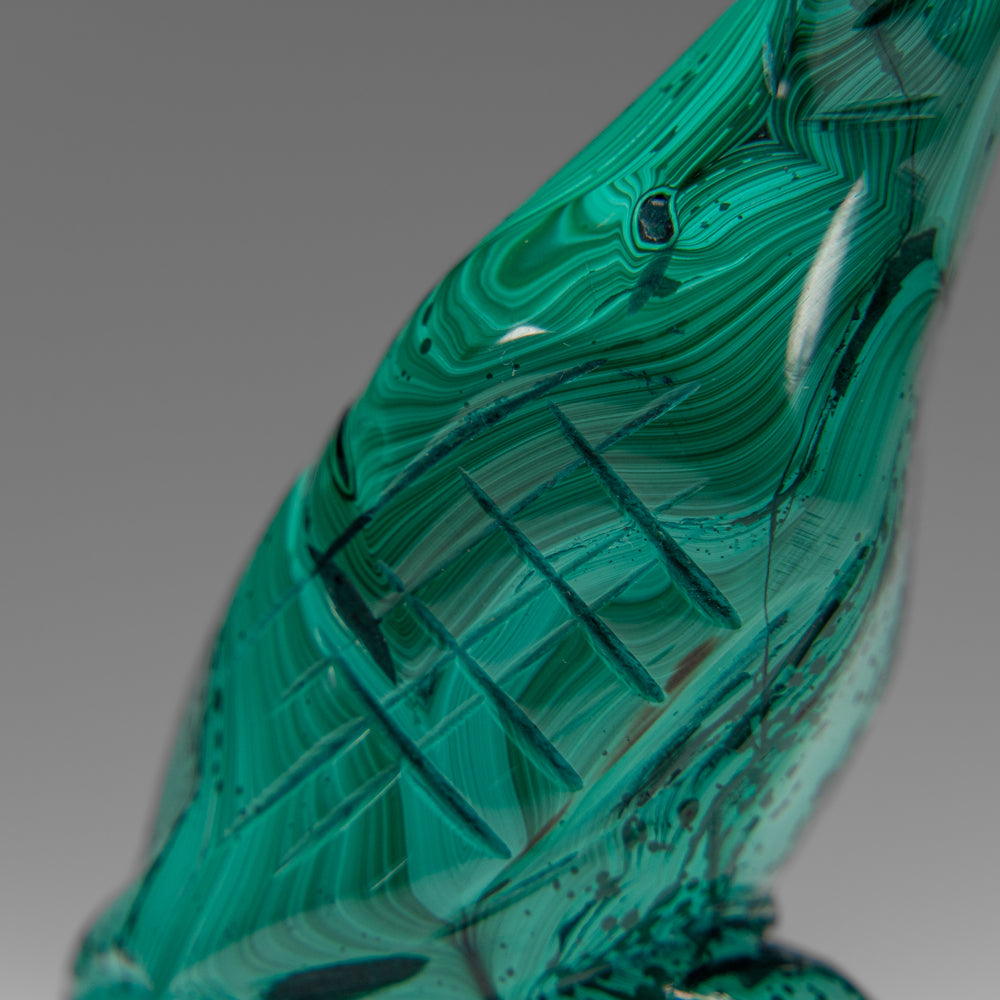 Genuine Polished Malachite Eagle Carving (175.9 grams)