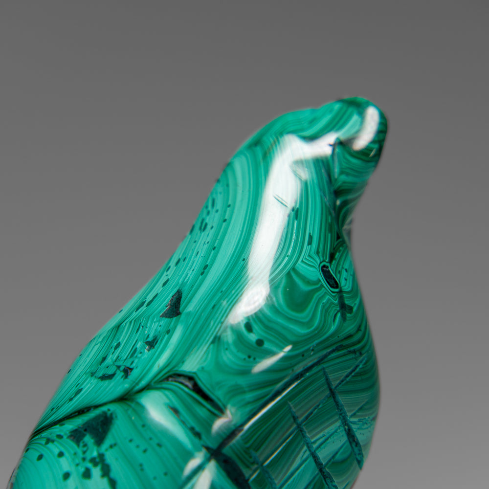 Genuine Polished Malachite Eagle Carving (175.9 grams)